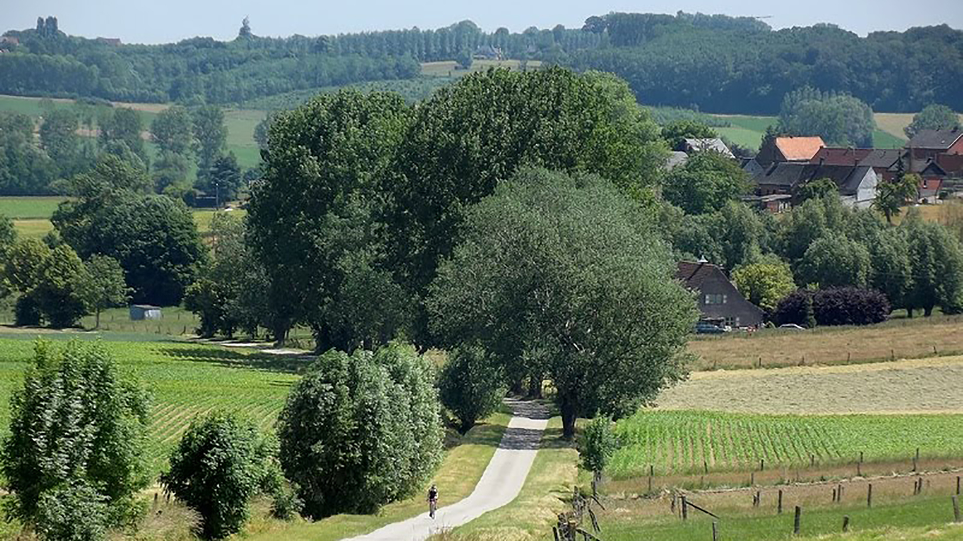 The Vineyard omgeving